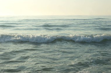 Deniz köpüklü lüks bir dalga, deniz yüzeyini doğanın bir başyapıtına çevirir..