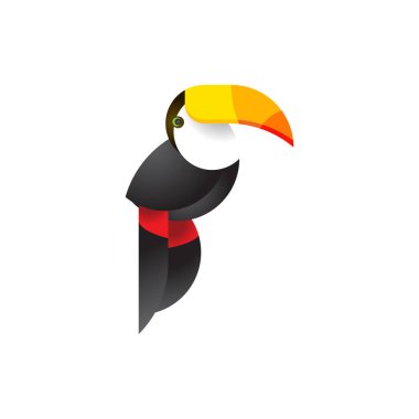 Toucan kuş vektör çizimi - malzeme tasarımı