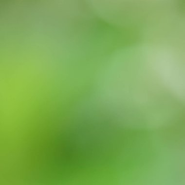 Arkaplan olarak sunum için yeşil bokeh 'i bulanıklaştır.