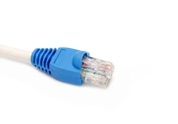 Lan Conexão Rede Ethernet Rj45 Tiro Close — Fotografia de Stock