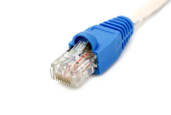 Connexion Réseau Lan Ethernet Rj45 Gros Plan — Photo
