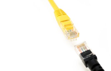 Kapatma başlıkları UTP Cat6 kablo siyah kaplama rengi, LAN ağ bağlantısı ethernet kabloları kırpma yolu ile beyaz üzerinde izole
