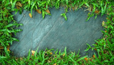 duvarda kopyalama alanı olan yeşil yapraklar