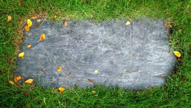 duvarda kopyalama alanı olan yeşil yapraklar