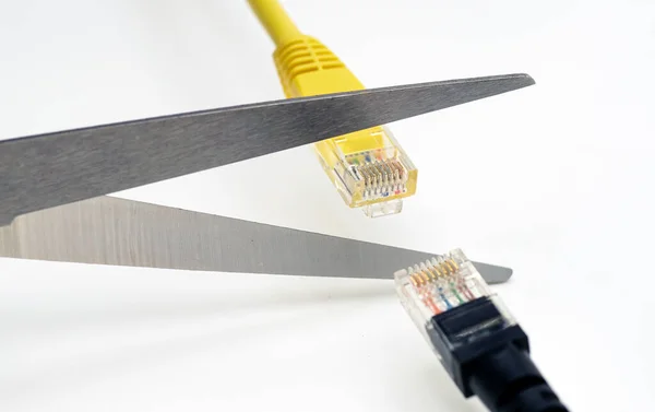 Gunting Memotong Kabel Jaringan Sambungan Jaringan Plug Lan — Stok Foto