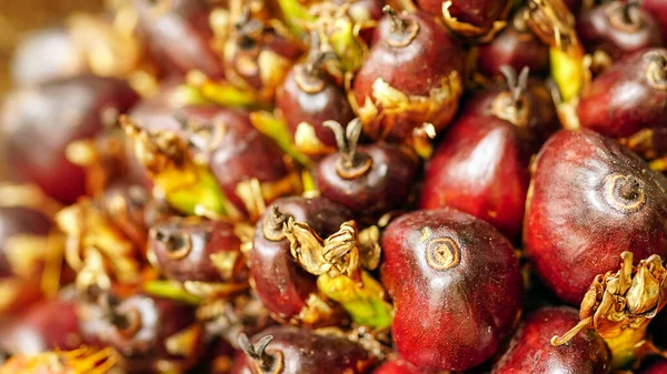 stock image Closeup on oil palm fruits