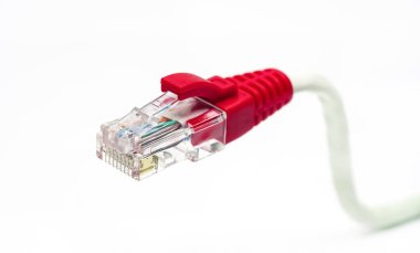 LAN ağ bağlantısı Ethernet RJ45, yakın çekim
