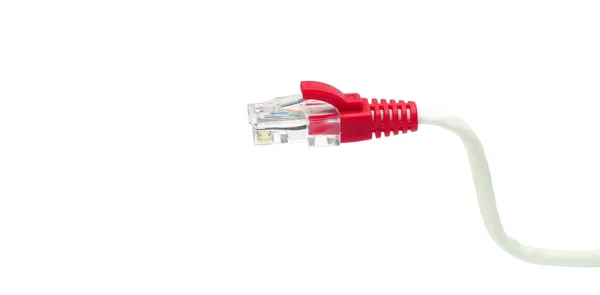 Conexión Red Lan Ethernet Rj45 Primer Plano — Foto de Stock