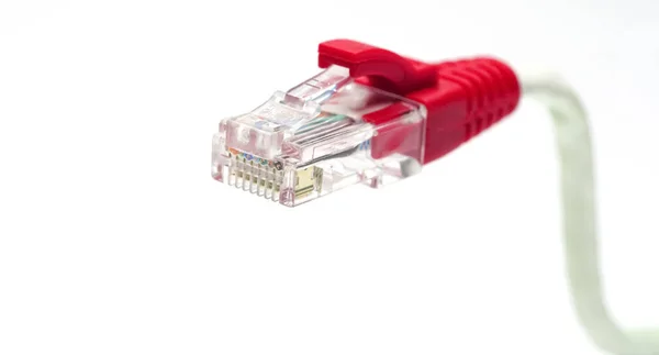 Lan Conexão Rede Ethernet Rj45 Tiro Close — Fotografia de Stock