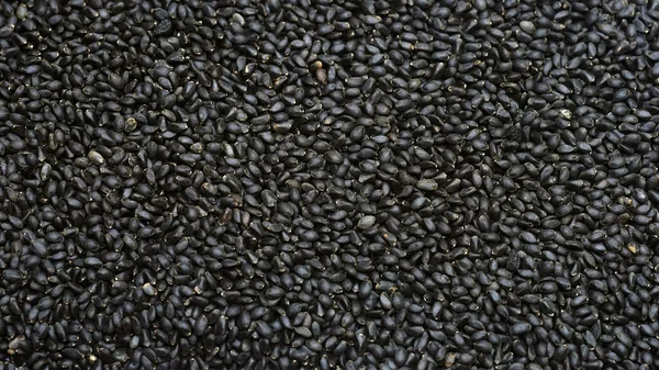 Basil Seeds Pattern Closeup — Stock Photo, Image