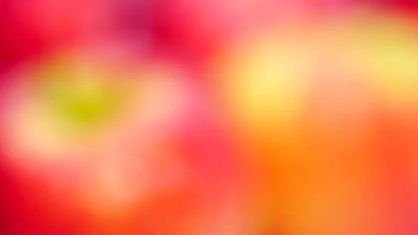 stock image Abstract background, art colors, bokeh and blur, red and orange colors.