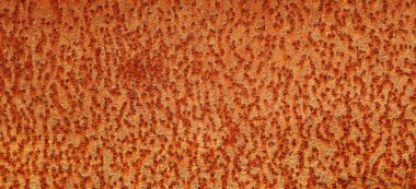 Metal pas. Eski demir beyazı üzerinde aşındırıcı pas. Sunum için resimleme olarak kullan. Bir panorama olarak arka plan paslı dokusu.           