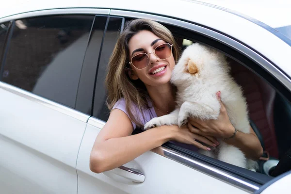 Egy Boldog Egy Kutya Egy Autóban Egy Nyári Kiránduláson Aranyos — Stock Fotó