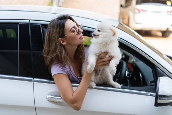 Egy Boldog Egy Kutya Egy Autóban Egy Nyári Kiránduláson Aranyos — Stock Fotó