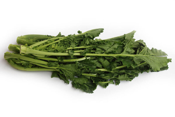 Fresh green turnip plants. Italian cime di rapa with green leaves and blossoms on white background. Brassica rapa var. cymosa 