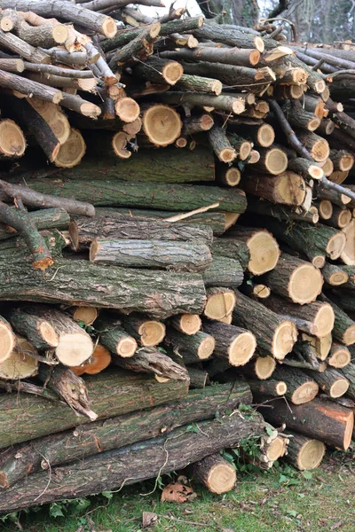 Viele Sägen Zur Winterzeit Baumstämme Einem Stapel Garten Holzernte — Stockfoto