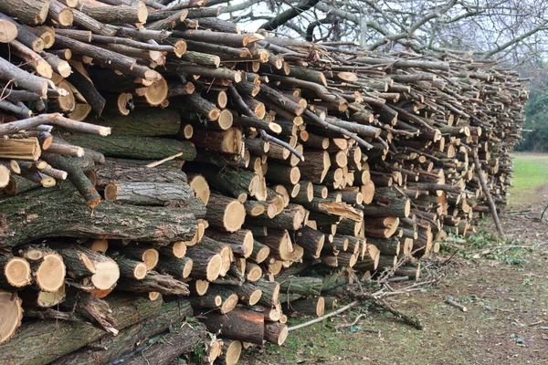 冬の庭のスタック内の多くのカット木の幹 木材採取 — ストック写真