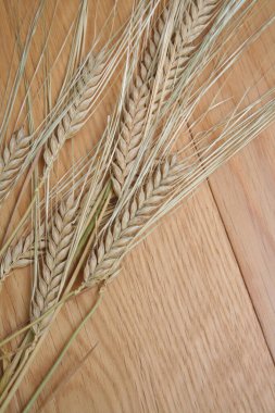 Tahta masadaki küçük bir avuç kuru kahverengi çavdar kulağı. Gevrek. 