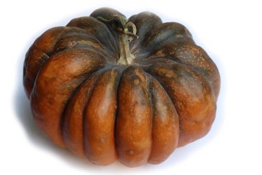 Büyük turuncu 'Musquee de Provence' kabağı ve beyaz üzerinde yeşil noktalar var. Aynı zamanda peri masalı kabağı da denir.