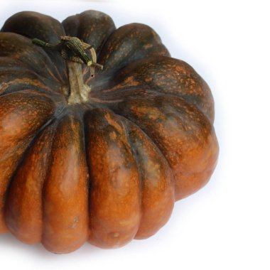 Büyük turuncu 'Musquee de Provence' kabağı ve beyaz üzerinde yeşil noktalar var. Aynı zamanda peri masalı kabağı da denir.