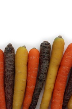 Beyaz arka planda farklı renkte havuç çeşitleri var. Organik sağlıklı gökkuşağı havuçları 