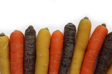 Beyaz arka planda farklı renkte havuç çeşitleri var. Organik sağlıklı gökkuşağı havuçları 