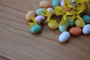 Paskalya arkaplanı, fotokopi alanı, çikolata yumurtaları ve sarı çiçekli Forsythia dalları.