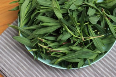 Tahta masadaki kasede duran bir avuç taze mesane kampı bitkisi. Silene vulgaris bitkileri hasat ediliyor.