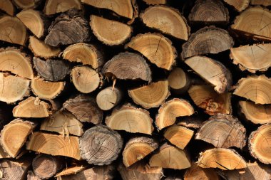 Yakacak odun yığını dokusu. Odunlar açık havada kış mevsimi için hazır.