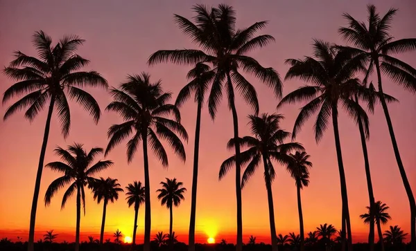 palm trees in the desert.