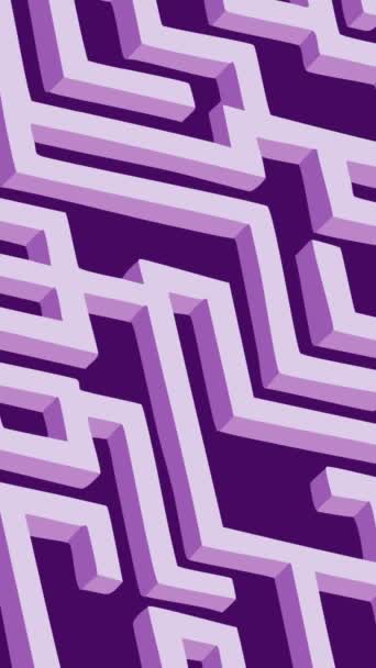 紫色迷宫迷宫迷宫 3D渲染 — 图库视频影像