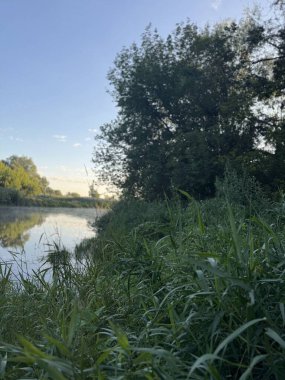 Ormandaki güzel göl