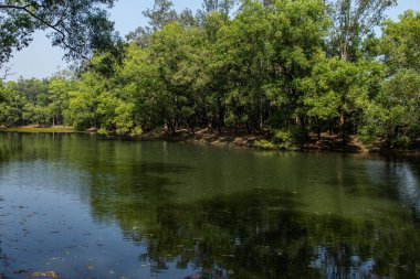 Dhaka yakınlarında ferahlatıcı bir orman kaçışı olan Bhawal Ulusal Parkı yemyeşil, huzurlu yollar ve zengin biyolojik çeşitlilik sunuyor. Bu manzaralı yer, huzur ve doğal güzellik arayan doğa aşıkları için mükemmel..