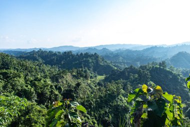 Rangamati 'deki yemyeşil tepelerin üzerinde nefes kesici bir mavi gökyüzü, canlı doğa ve huzurlu manzaralar sergiliyor. Seyahat, açık hava güzelliği, huzurlu çevre ve manzaralı temalar için ideal..