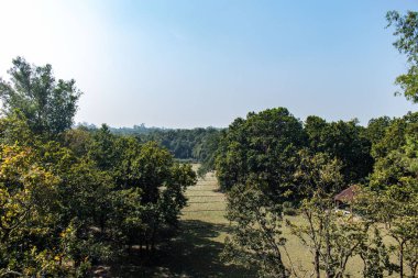 Gazipur, Bangladeş 'teki Bhawal Milli Parkı' nın sakin bir sabah manzarası, sis kaplı ağaçlar, yoğun yeşillikler arasından süzülen yumuşak güneş ışığı ve eko-turizm için ideal barışçıl bir doğal atmosfer..