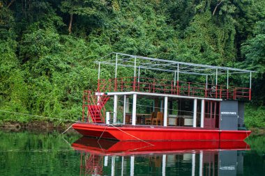 Kaptai Gölü 'nün sakin sularında eşsiz desenler oluşturan yüzen teknelerin çarpıcı görüntüsü. Bu büyüleyici sahne Bangladeş kırsalındaki doğa ve geleneksel yaşam arasındaki uyumu gösteriyor..