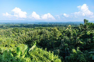 Rangamati tepelerinde gökyüzünün altındaki yeşil orman katmanları