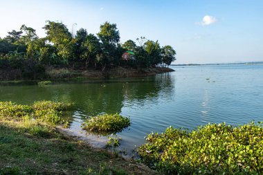 Aynaya benzeyen göl suyuna yansıyan yeşil gölgelik