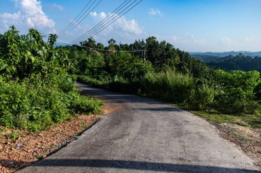  Rangamati 'de mavi gökyüzü olan tepe orman yolu.