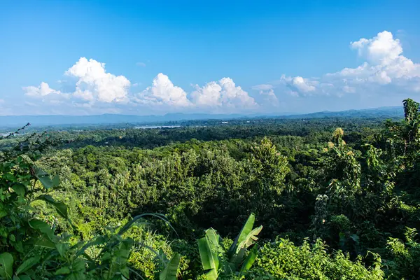 Rangamati 'de güzel bir ağaç ve gökyüzü ahengi, canlı mavi gökyüzüne karşı yemyeşil yapraklar sergiliyor. Bu huzurlu doğal manzara yeryüzü ve gökyüzü arasındaki huzurlu bağlantıyı vurgular..