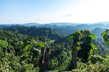 Parlak Rangamati tepeleri berrak bir yaz gökyüzünün altında canlı yeşil manzaralar ve barışçıl doğa sergiliyor. Seyahat, açık hava macerası, manzara ve güneşli, sakin ortamları vurgulayan mevsimsel fotoğrafçılık için mükemmel..
