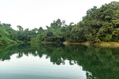 Serene Kaptai Gölü Bangladeş 'teki yemyeşil tepelerin yanında uzanır ve sakin bir manzara yaratır. Bu barışçıl sahne doğal güzellikleri, sakin suları ve canlı yeşillikleri yakalar, doğa ve seyahat fotoğrafçılığı için mükemmeldir..