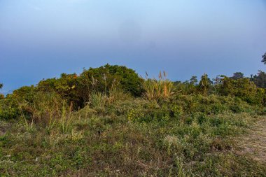 Serin bir rüzgar Sajek 'in sisli dağlarında süzülerek dingin ve ruhani bir atmosfer yaratır. Bu manzara yemyeşil tepeleri, sürüklenen bulutları ve Bangladeş dağlarının huzur dolu güzelliğini yakalar..