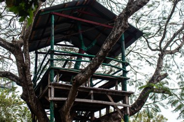 Çevre dostu bir ağaç ev yemyeşil bir dağ ormanının ortasında, sürdürülebilir ve yüksek bir yaşam sunuyor. Bu sakin geri çekilme, kırsal tasarımı doğayla harmanlıyor. Macera, sükunet ve derin orman deneyimleri için mükemmel..