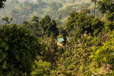 Katmanlı dağ sırtlarının zarif bir şekilde kayan bulutlarda kayboluşunun nefes kesen görüntüsü. Bu sakin manzara sisli ufuklara, sakin tepelere ve dokunulmamış dağ yabanın rüya gibi doğal güzelliğine vurgu yapar. Doğa aşıkları için mükemmeldir..