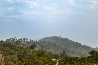 Alçak asılı bulutlar yavaşça Sajek 'in dolambaçlı yollarında süzülerek nefes kesen sis, dağlar ve yemyeşil bir karışım oluşturuyor. Bu huzurlu manzara Bangladeş 'in ikonik tepenin büyülü güzelliğini yakalar..
