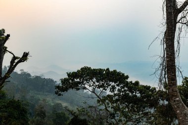 Sajek dağları zarif bir şekilde beyaz bulutlar örtüsüne bürünür ve dingin bir dağ manzarası yaratır. Doğa severler, fotoğrafçılar ve puslu, sakin dağ manzaraları arayan gezginler için idealdir..