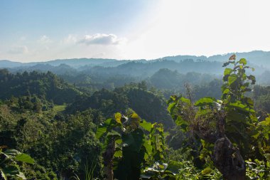 Rangamati, Bangladeş 'teki yeşil tepelerin ve vadilerin nefes kesici panoramik manzarası yumuşak güneş ışığıyla yıkanmıştı. Huzurlu manzara, bereketli ormanları, yuvarlanan tepeleri ve huzurlu doğal güzellikleri gözler önüne seriyor..