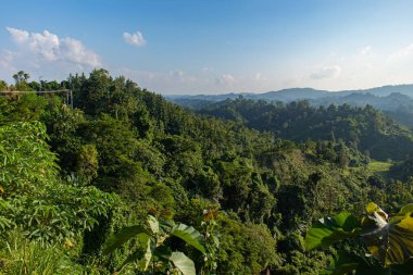 Rangamati, Bangladeş 'teki katmanlı dağ sırtları ve sık orman manzaraları, güneş ışığında güneşlenmek, dingin doğal güzellik, canlı yeşillik ve doğa fotoğrafçılığı için tropikal tepelerin huzur verici cazibesini vurgulamak..