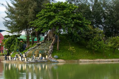 Gerçek boyutta penguen heykelleri, bir grup halinde güzelce işlenmiş, temalı bir lunapark dcor, sanatsal yaratıcılık, kaprislilik ve ziyaretçiler, aileler ve fotoğraf meraklıları için eğitici cazibeyi birleştiriyor..
